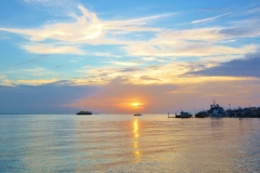 DSC_0116 (800x524) (2)