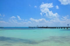 DSC_0576 (800x531)