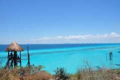 DSC_0756 (800x531)