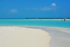 DSC_1038 (800x531)