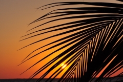 Sunset - April 23, 2012 (531x800)